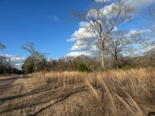 view of landscape