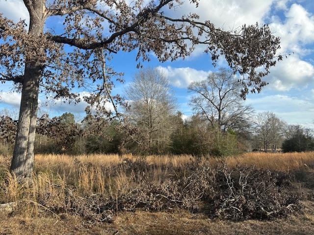 view of nature