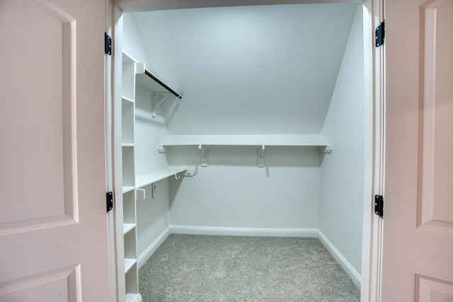 walk in closet with carpet and attic access