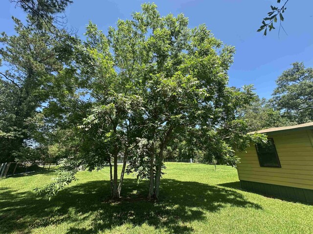 2922 Little Cypress Dr, Orange, TX 77632 - view of green lawn