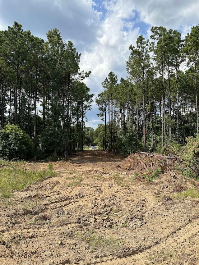 1600 Dublin, Vidor, TX 77662 - photo 6