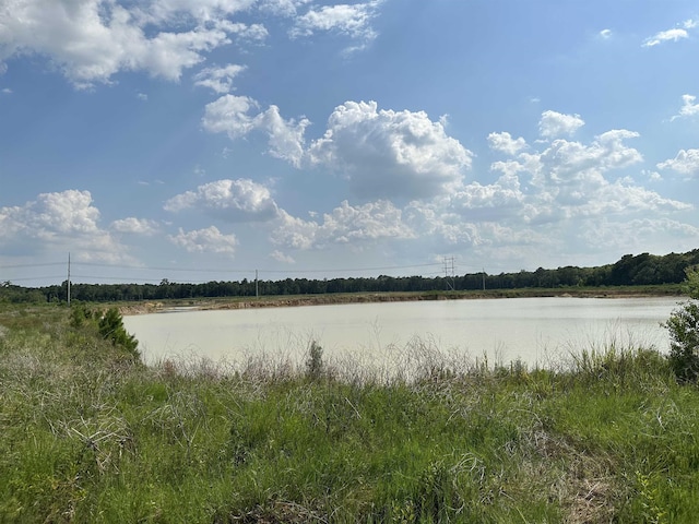1600 Dublin, Vidor, TX 77662 - photo 4