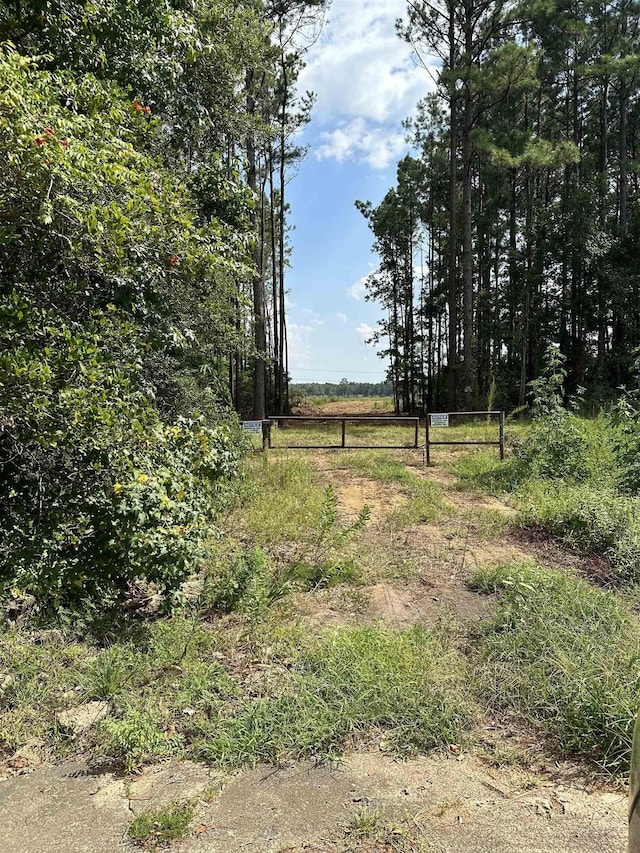 1600 Dublin, Vidor, TX 77662 - photo 1