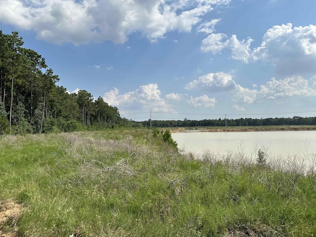 1600 Dublin, Vidor, TX 77662 - photo 3