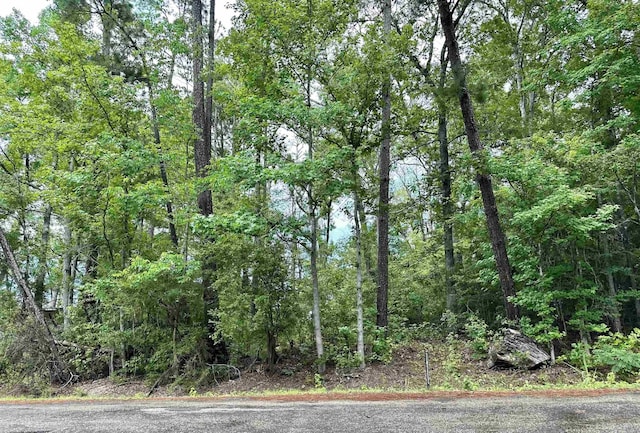 TBD Beechridge Lp, Hemphill, TX 75948