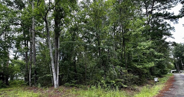 TBD Beechridge Lp, Hemphill, TX 75948