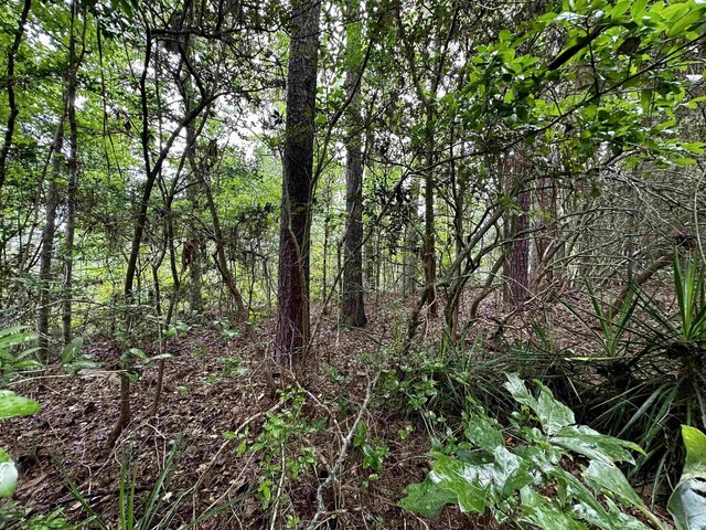 TBD Beechridge Lp, Hemphill, TX 75948
