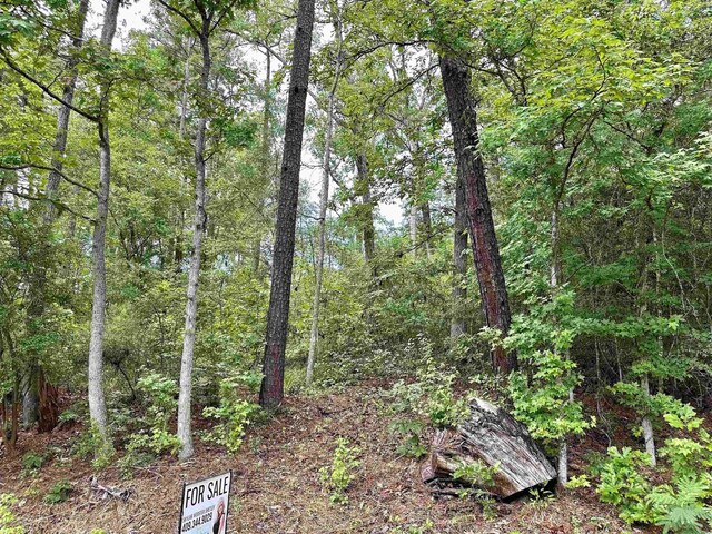 TBD Beechridge Lp, Hemphill, TX 75948