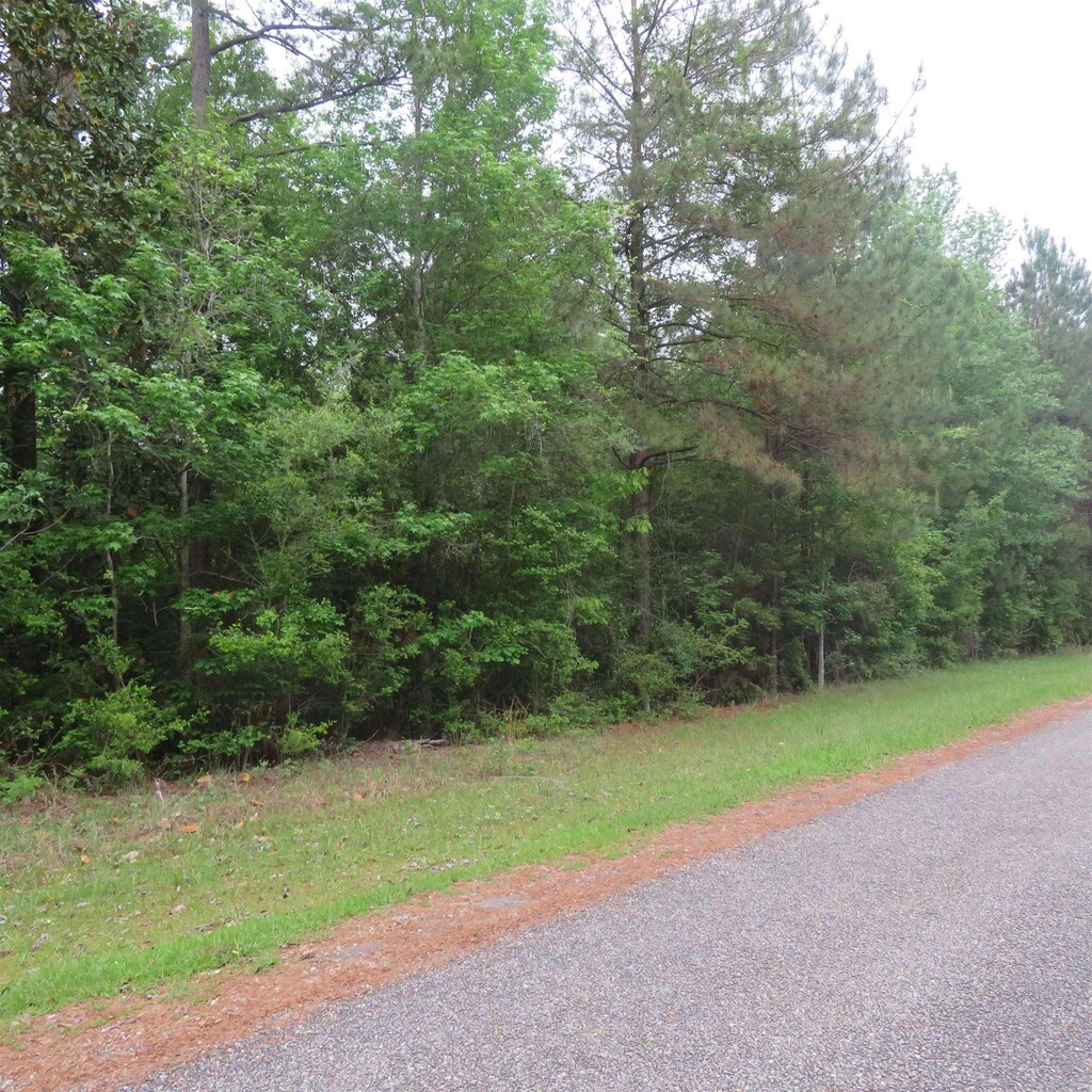 LOT9BLOCK103 Hornbeam, Village Mills, TX 77663 - photo 1