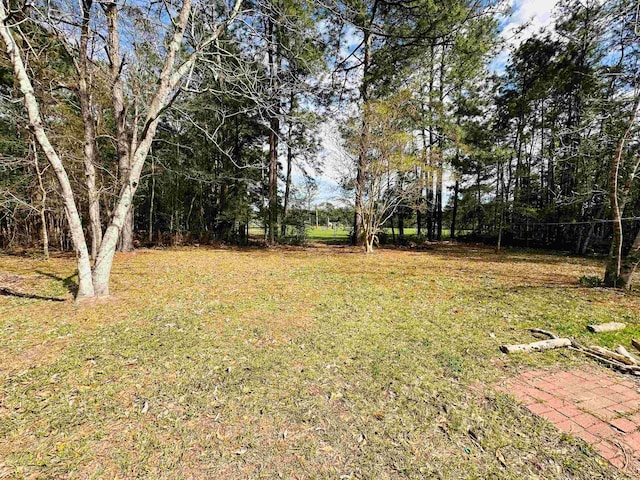 5223 Ariola Ln, Lumberton, TX 77657 - photo 27