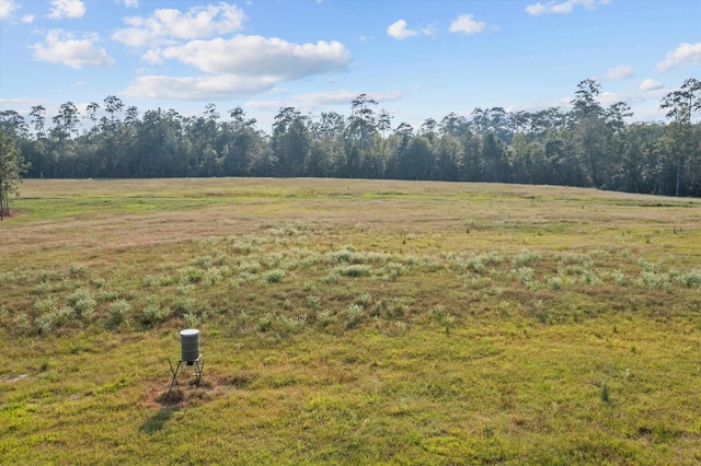 view of yard with a rural view