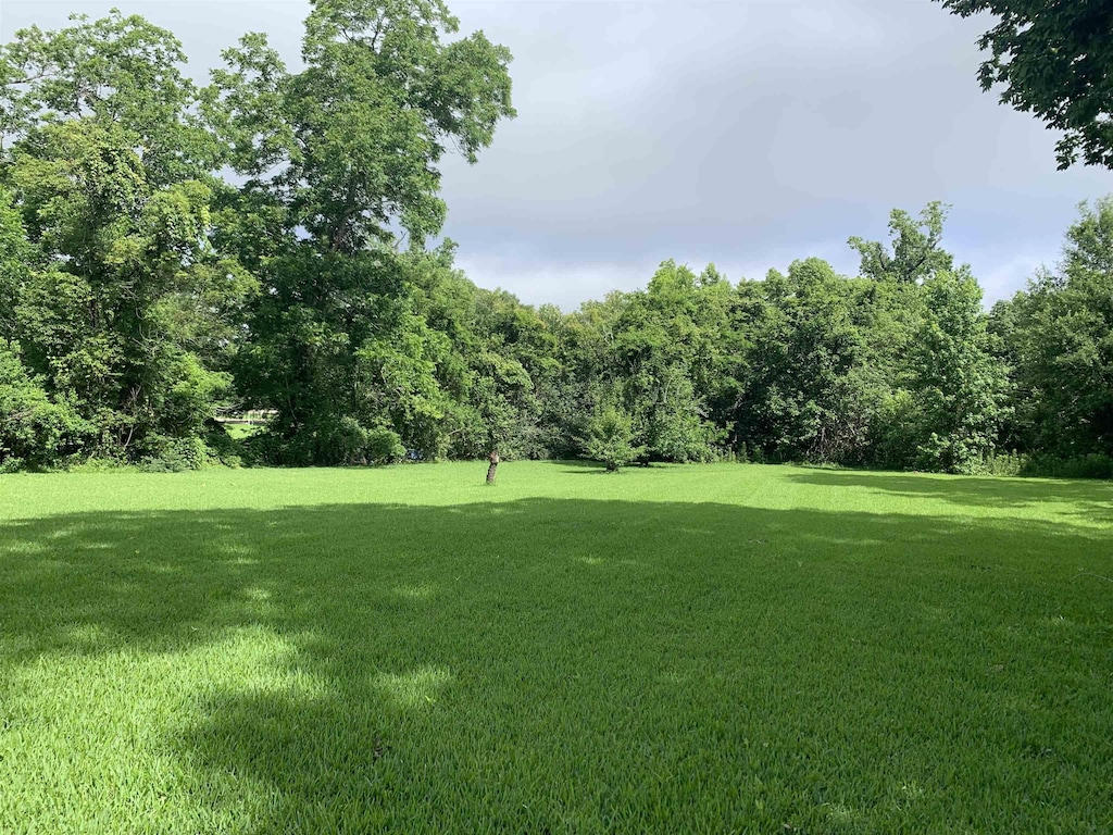 2180 Tyler St, Beaumont, TX 77703 - view of green lawn