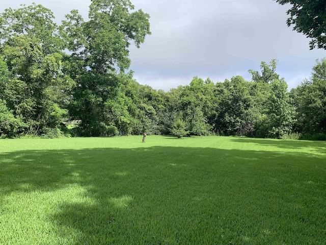 2180 Tyler St, Beaumont, TX 77703 - view of green lawn
