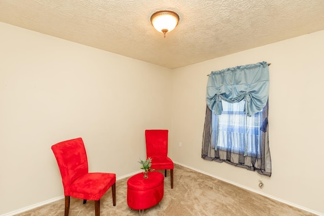 living area featuring carpet and a textured ceiling