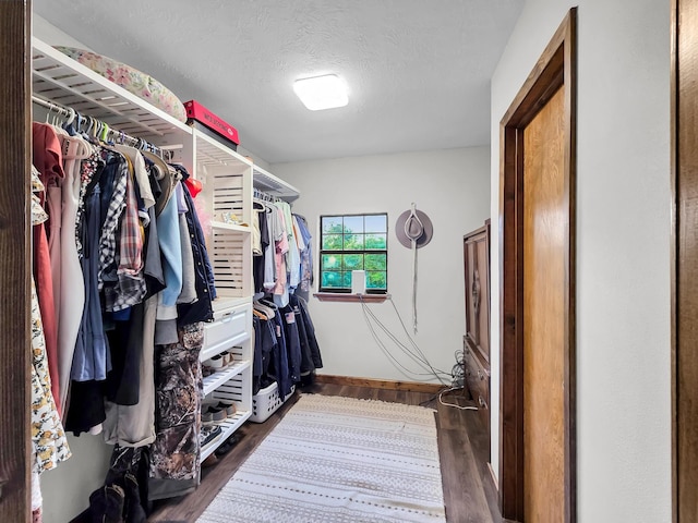 9378 Cocklebur Loop, Silsbee, TX 77656 - spacious closet with wood finished floors