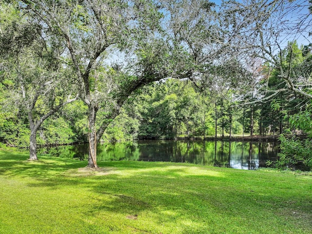 9378 Cocklebur Loop, Silsbee, TX 77656 - view of green lawn featuring a water view