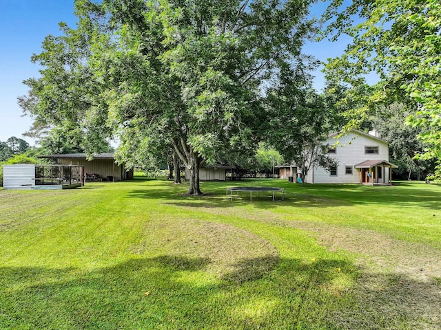 9378 Cocklebur Loop, Silsbee, TX 77656 - view of green lawn featuring a trampoline