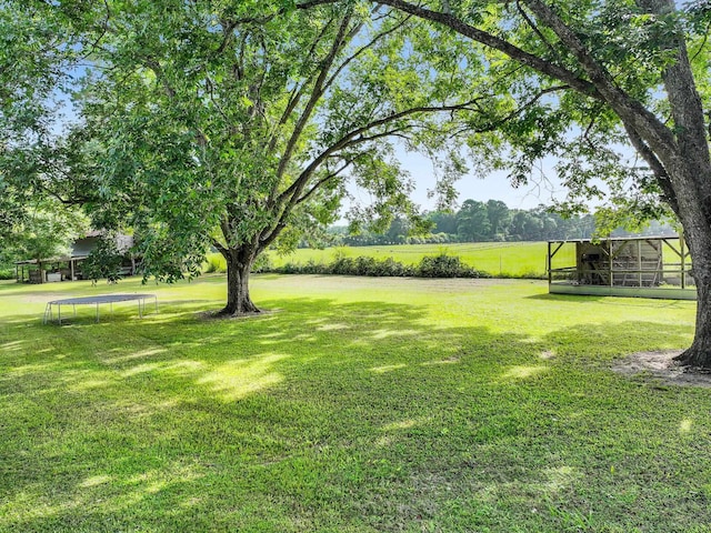 9378 Cocklebur Loop, Silsbee, TX 77656 - view of grassy yard with a trampoline and an outdoor structure