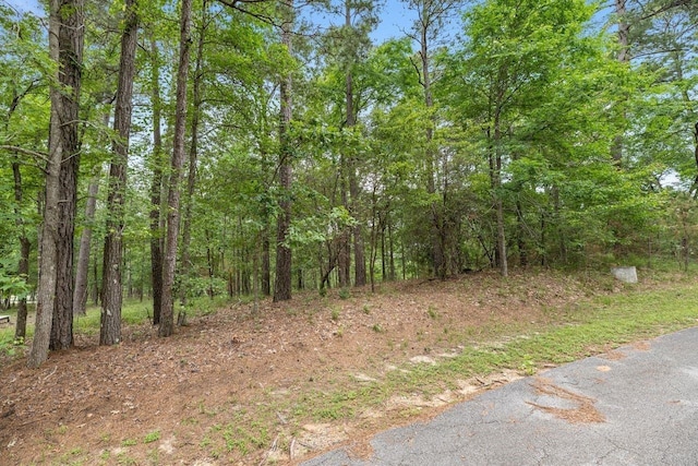 79S Fairway Loop, TX, 77331 land for sale