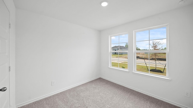 spare room featuring carpet floors