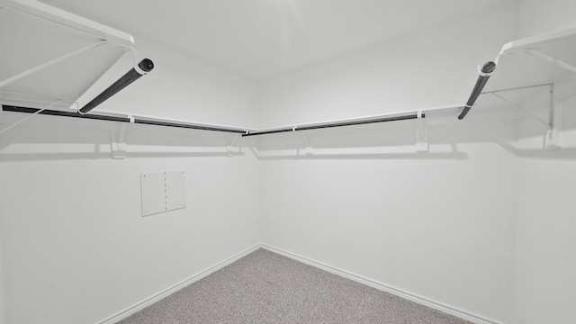 spacious closet with carpet