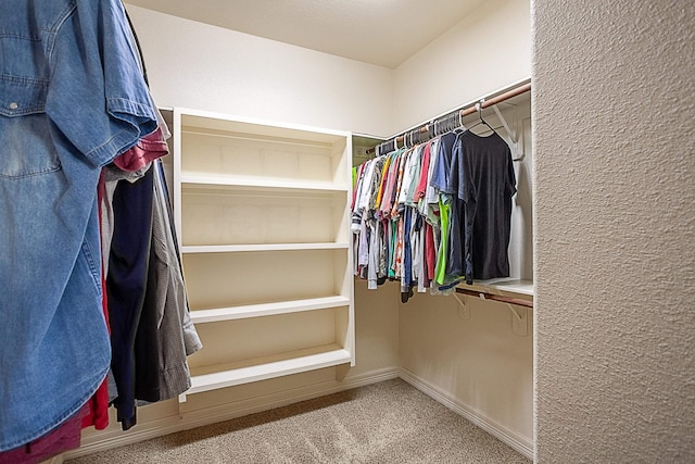 walk in closet with light colored carpet