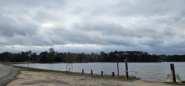 property view of water