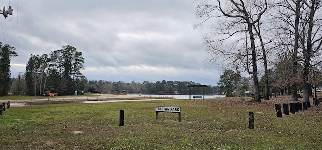 view of home's community with a water view