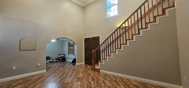 foyer featuring crown molding and a high ceiling