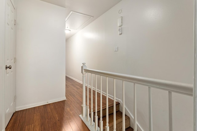 corridor featuring hardwood / wood-style flooring