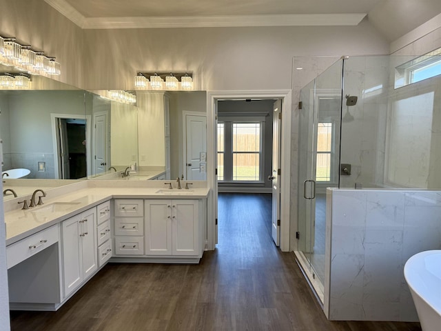 full bathroom with a wealth of natural light, a freestanding bath, and a sink