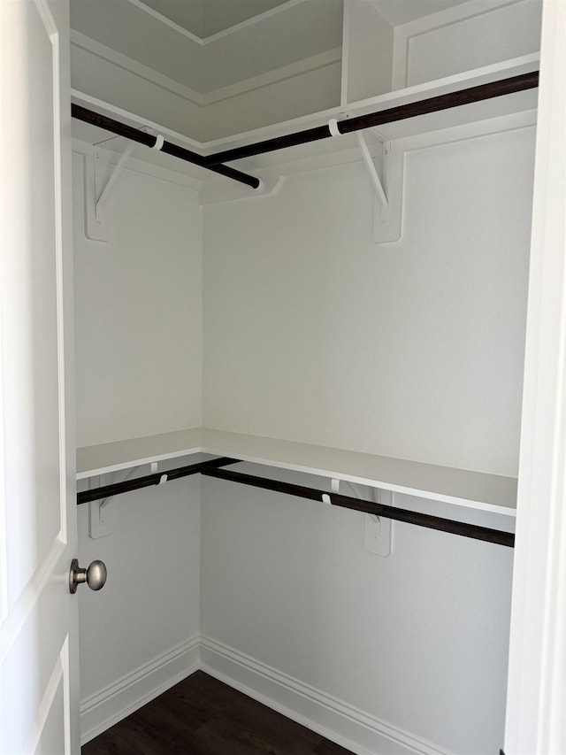 spacious closet with dark wood-type flooring