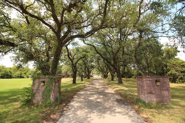 view of property's community featuring a lawn