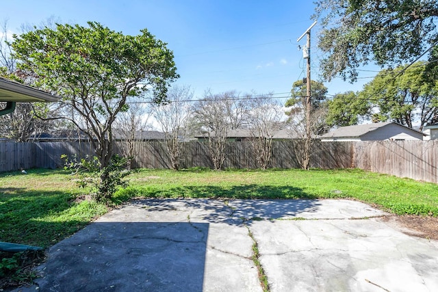 view of yard featuring a patio