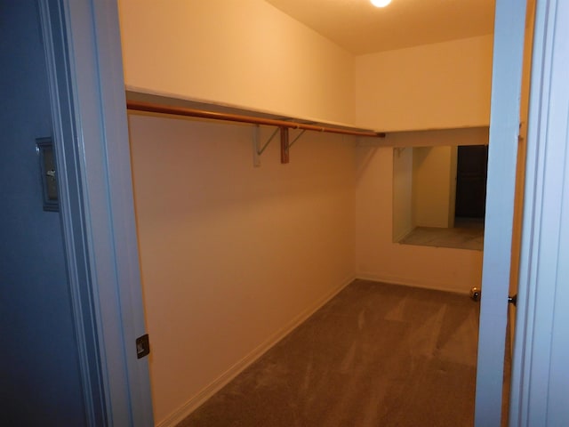 6340 Capitol St, Groves, TX 77619 - walk in closet featuring carpet