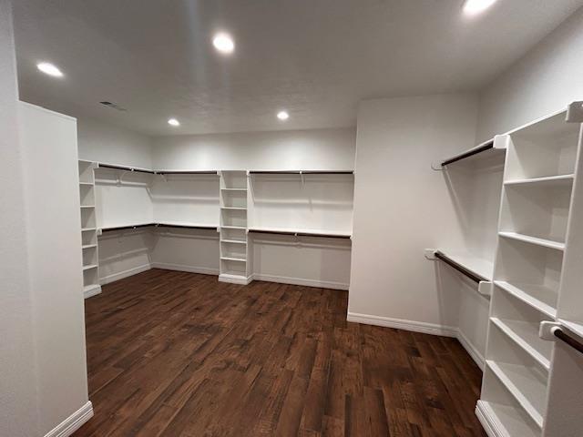 walk in closet with dark wood finished floors