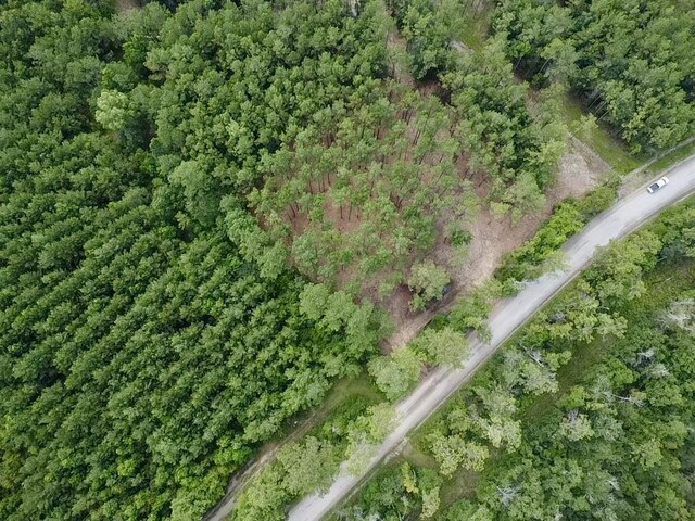 1465 County Road 716, Buna, TX 77612 - photo 4
