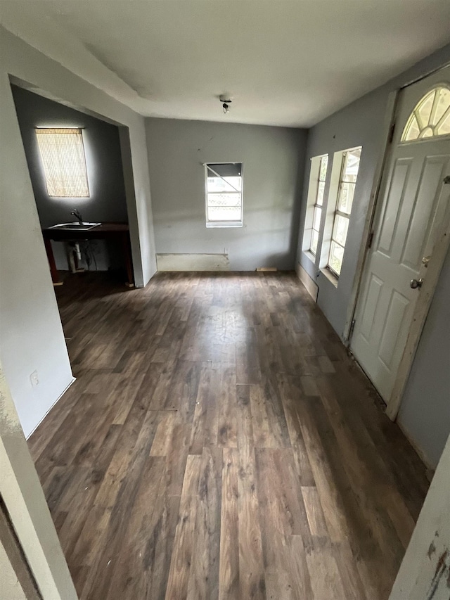 interior space featuring dark hardwood / wood-style flooring and sink