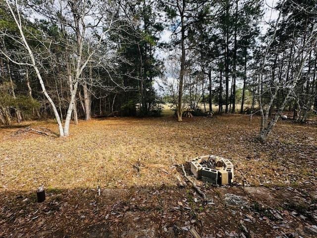 view of yard featuring a fire pit