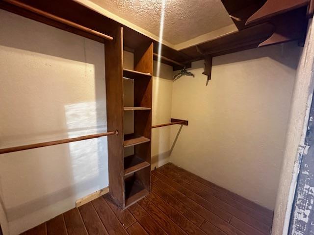 spacious closet featuring dark hardwood / wood-style floors