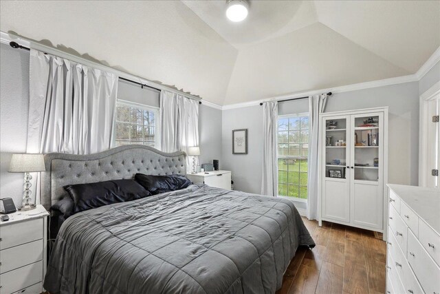 bedroom with multiple windows, lofted ceiling, and wood finished floors