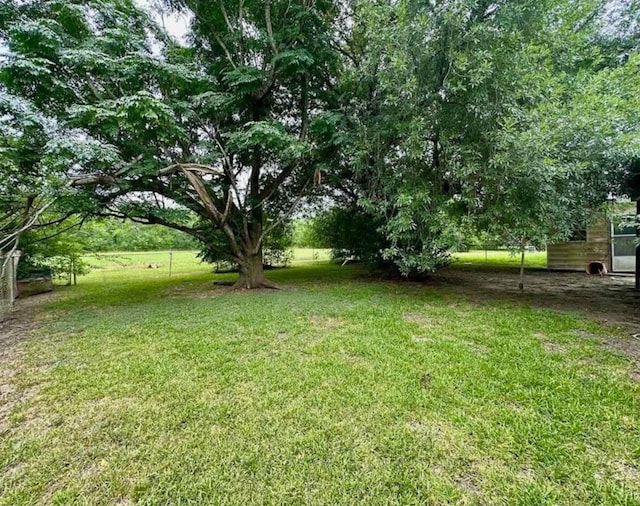 view of yard