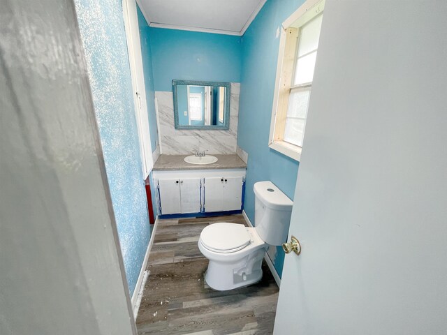 bathroom featuring tasteful backsplash, toilet, vanity, and hardwood / wood-style flooring