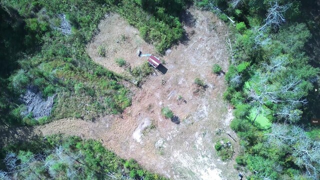 6030 Hickory Grove Cemetery Rd, Silsbee, TX 77656 - photo 16