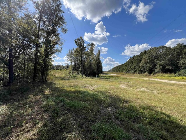 6030 Hickory Grove Cemetery Rd, Silsbee, TX 77656 - photo 1