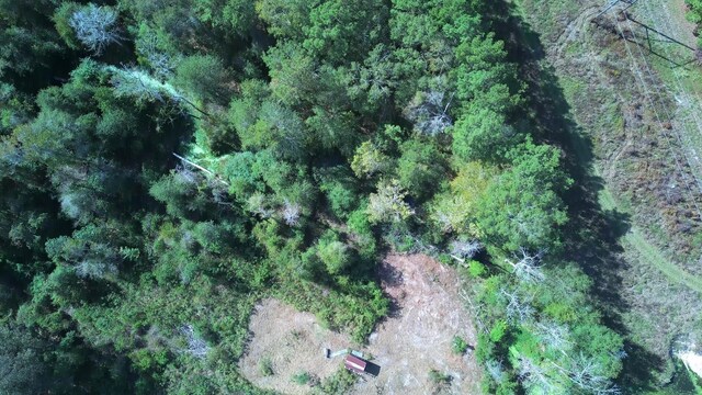 6030 Hickory Grove Cemetery Rd, Silsbee, TX 77656 - photo 17