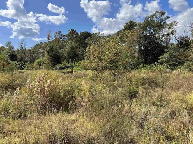 6030 Hickory Grove Cemetery Rd, Silsbee, TX 77656 - photo 15