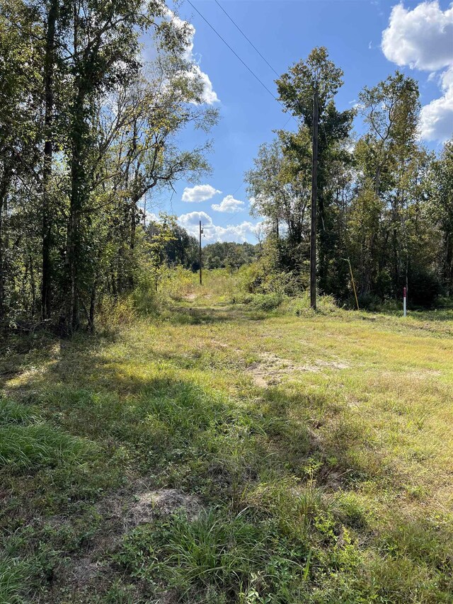 6030 Hickory Grove Cemetery Rd, Silsbee, TX 77656 - photo 5