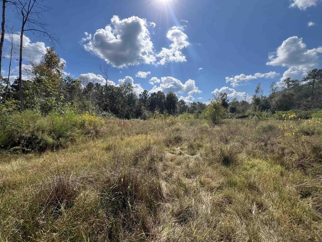 6030 Hickory Grove Cemetery Rd, Silsbee, TX 77656 - photo 12