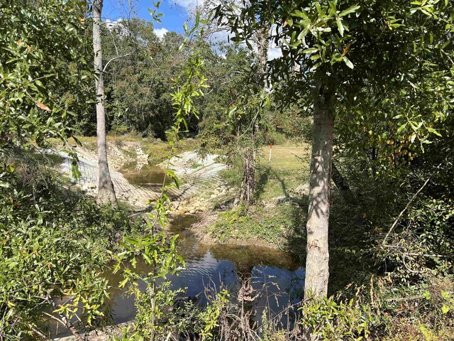 6030 Hickory Grove Cemetery Rd, Silsbee, TX 77656 - photo 8